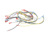 24920 Blodgett Harness,Wiring