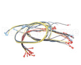 24920 Blodgett Harness,Wiring