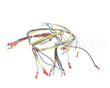 24920 Blodgett Harness,Wiring