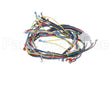 24930 Blodgett Harness, Wiring Ssd