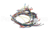 24930 Blodgett Harness, Wiring Ssd