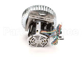 250-1065 Nu-Vu Kit,Motor,1/3Hpdv,10Cage 120V