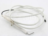 250286P Fisher Paykel Electrode Rotis Bur 1145