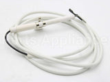 250286P Fisher Paykel Electrode Rotis Bur 1145