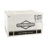 25P132-0003-G1 Briggs & Stratton Engine Packed Single Carton