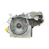 25P132-0003-G1 Briggs & Stratton Engine Packed Single Carton