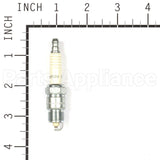 25S Champion Rv17Yc Shop Pack 24 Plugs