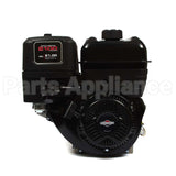 25T232-0037-F1 Briggs & Stratton Engine Packed Single Carton