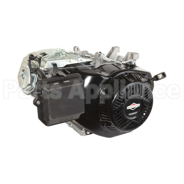25T235-0111-G2 Briggs & Stratton Engine Packed Single Carton