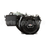 25T235-0111-G2 Briggs & Stratton Engine Packed Single Carton
