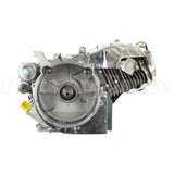 25T235-0111-G2 Briggs & Stratton Engine Packed Single Carton