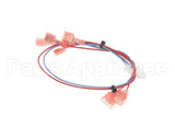 28336.0000 Bunn Wiring Harness, Door (Lamp)