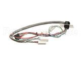 29066.0000 Bunn Wiring Harness,Door Interctpc