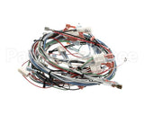 29067.0001 Bunn Wiring Harness,Mn 120/240V W/Hwv
