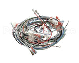 29067.0001 Bunn Wiring Harness,Mn 120/240V W/Hwv