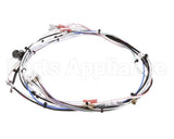 29072.0016 Bunn Wiring Harn,Main 120V 1L/2U