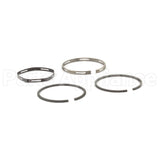 295649 Briggs & Stratton Ring Set-Std