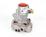 29766-6 Montague Safety Valve