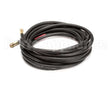 2981-R000 Fisher Hose Rr 3/8 X 30