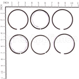 298746 Briggs & Stratton Ring Set-Std Chr