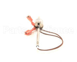 29948 Henny Penny Assembly-Probe Fast Electric