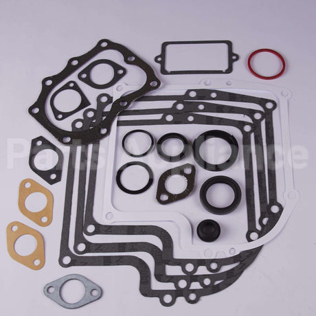 299577 Briggs & Stratton Gasket Set-Engine