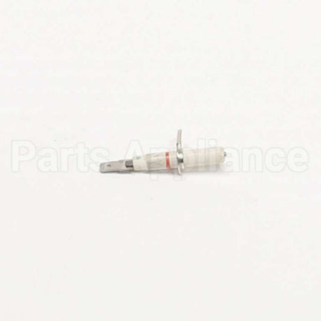 00603506 Bosch Electrode