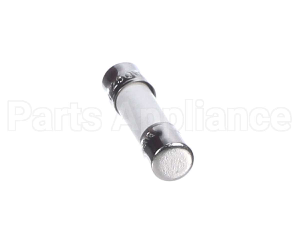 2E-1503050 Apw Wyott Fuse 10 Amp