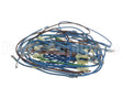 2E-21831976 Apw Wyott Wire Harness; Hrs-75;5T