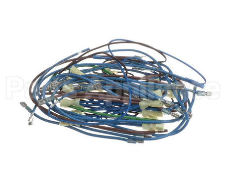 2E-21831976 Apw Wyott Wire Harness; Hrs-75;5T