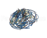 2E-21831976 Apw Wyott Wire Harness; Hrs-75;5T