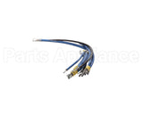 2E-93300037 Apw Wyott Wire Set, At-Express-1, 120V,