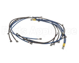 2E-93300085 Apw Wyott Wire Set; W/Wire Diagram Xttrm 2 & 3