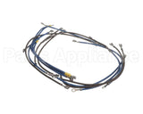 2E-93300085 Apw Wyott Wire Set; W/Wire Diagram Xttrm 2 & 3