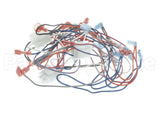 2E-B6780901 Magikitchn Wrg,Dual Control Pnl Mkge