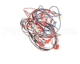 2E-B6810402 Magikitchn Wrg, Control Dual Rh Mkg 2