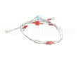 2E-EZG-713-2 Lang Harness,Burner Valve