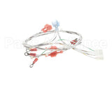 2E-EZG-713-2 Lang Harness,Burner Valve