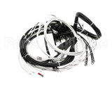 2E-XL-577 Lang Harness Element Slct 208/240V