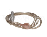 2E-Z1837 Star Rtd Probe 2000 Ohm