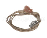 2E-Z1837 Star Rtd Probe 2000 Ohm