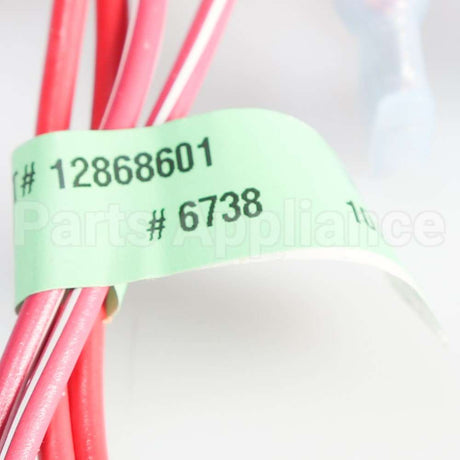 WP12868601 Whirlpool Harns-Wire