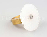 2INCH Drain Lock Drain Lock 2 Inch Size