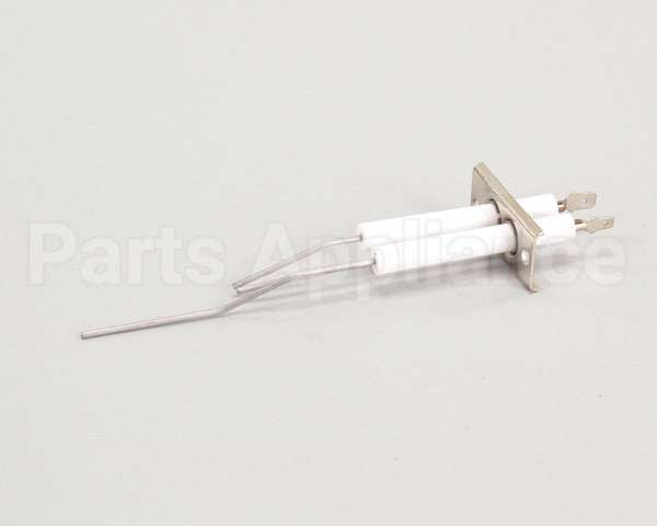 2J-80302-05 Lang Dsi Electrode Assembly