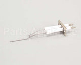 2J-80302-05 Lang Dsi Electrode Assembly