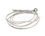 2J-Z16743 Wells Probe-Temp-Rtd-2K