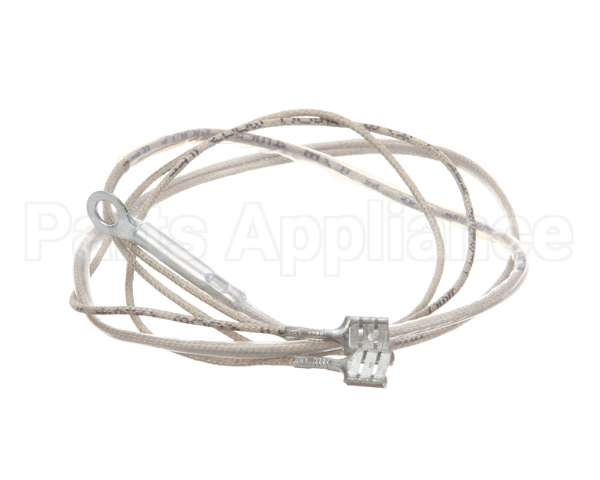 2J-Z16743 Wells Probe-Temp-Rtd-2K