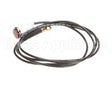 2S-Z3823 Star Indicator Light, 120V