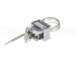 2T-307574 Wells Thermo Saf Man Reset Stnd