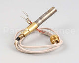 2T-42195 Wells Thermopile Fgs-40